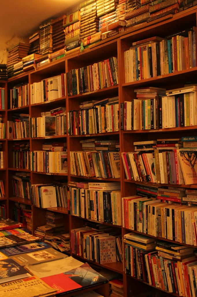 Bibliothèque remplie de livres, accès au savoir